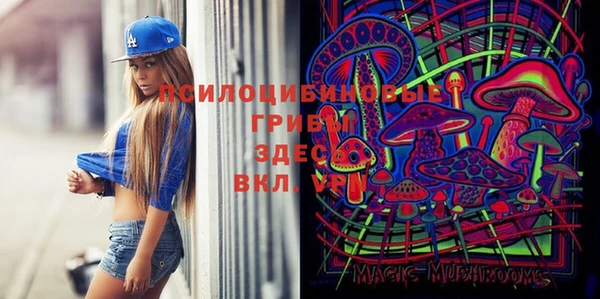 дживик Гусиноозёрск