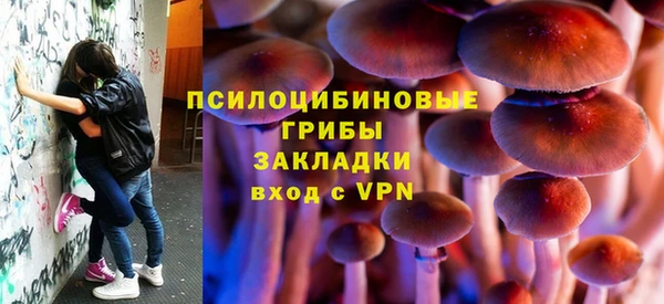 экстази Гусь-Хрустальный