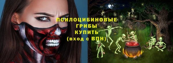 дживик Гусиноозёрск