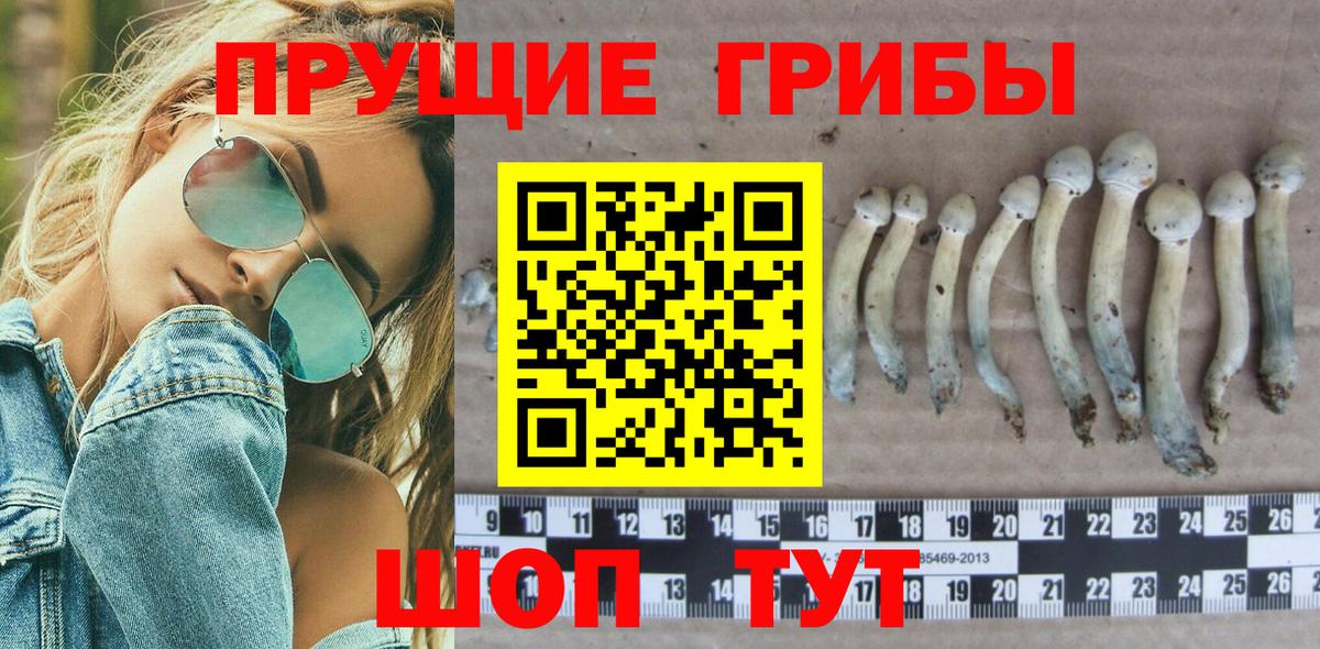 Галлюциногенные грибы мицелий  Галлюциногенные грибы мицелий  Томск  Вход с VPN 