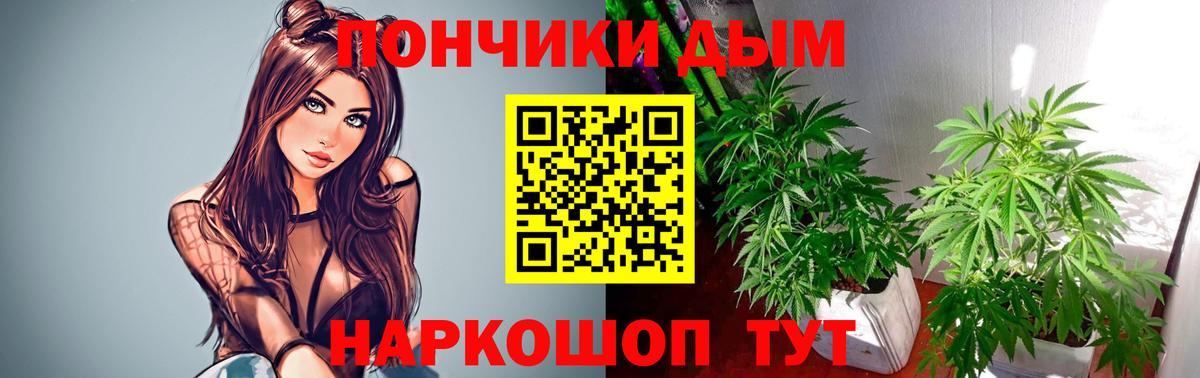 Шишки марихуана Ganja Томск